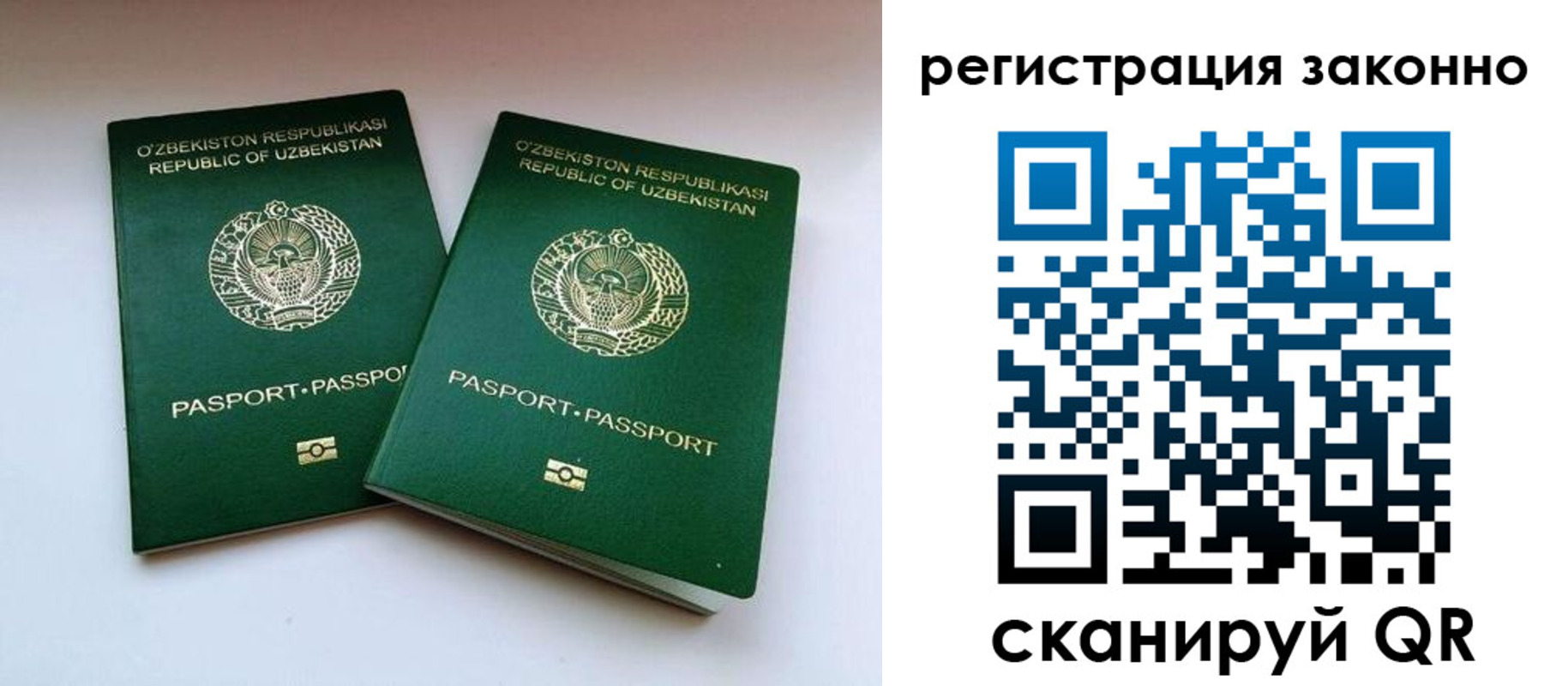 прописка гарантия в Московской области